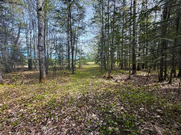 $45,000 | 72-xxx East Central Lakes Road, Eveleth, MN 55734