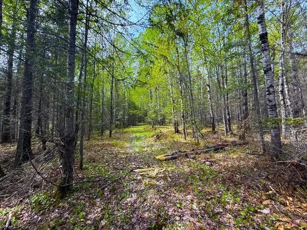 $45,000 | 72-xxx East Central Lakes Road, Eveleth, MN 55734