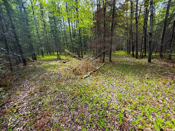 $45,000 | 72-xxx East Central Lakes Road, Eveleth, MN 55734