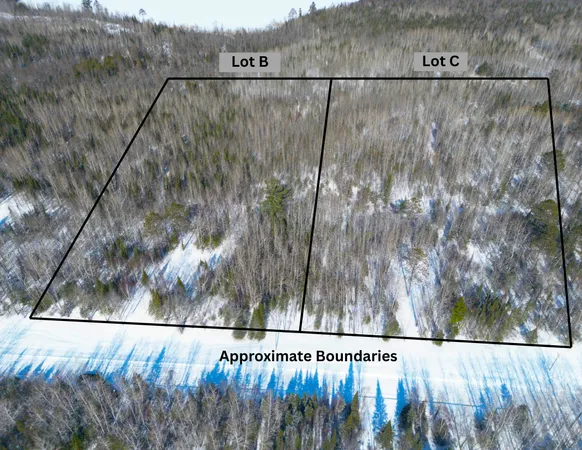 $45,000 | 72-xxx East Central Lakes Road, Eveleth, MN 55734