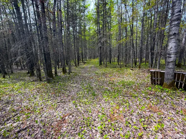 $45,000 | 72-xxx East Central Lakes Road, Eveleth, MN 55734
