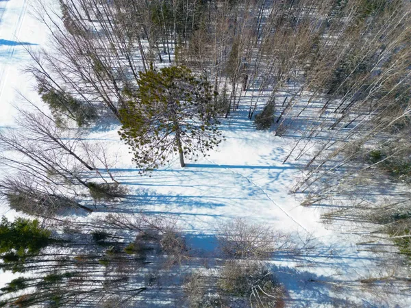 $45,000 | 72-xxx East Central Lakes Road, Eveleth, MN 55734