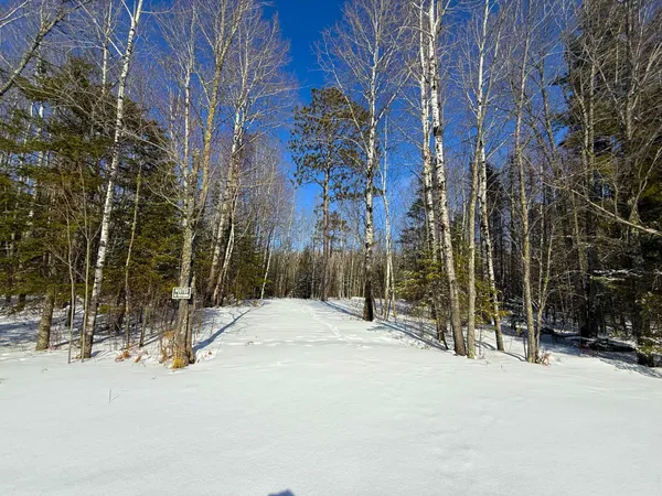 $45,000 | 72-xxx East Central Lakes Road, Eveleth, MN 55734