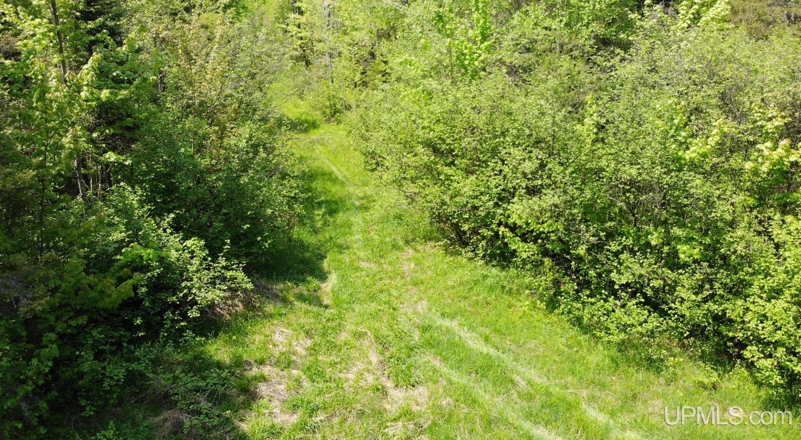 1 Larson Road Bruce Crossing, MI 49912 - Photo 34 of 34