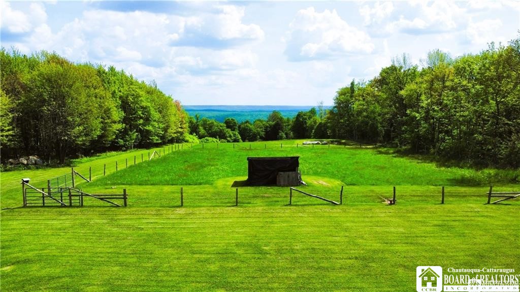882 Alma Hill Road Alma, NY 14708 - Photo 11 of 37