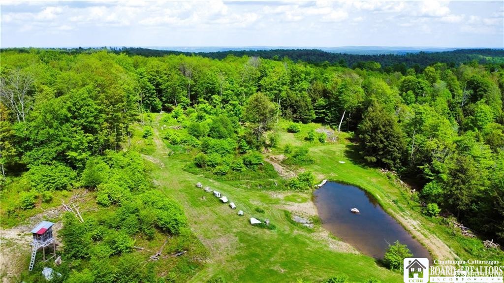 882 Alma Hill Road Alma, NY 14708 - Photo 13 of 37