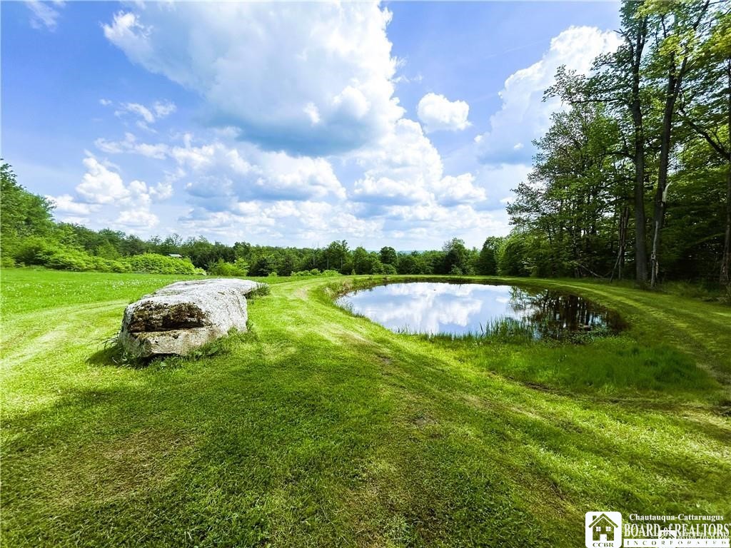 882 Alma Hill Road Alma, NY 14708 - Photo 15 of 37