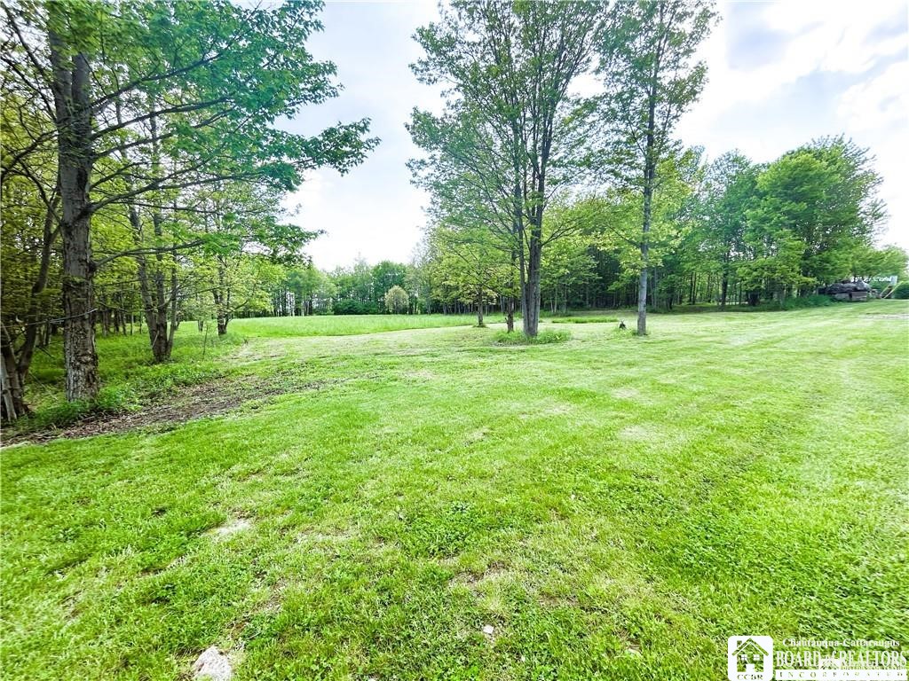 882 Alma Hill Road Alma, NY 14708 - Photo 17 of 37