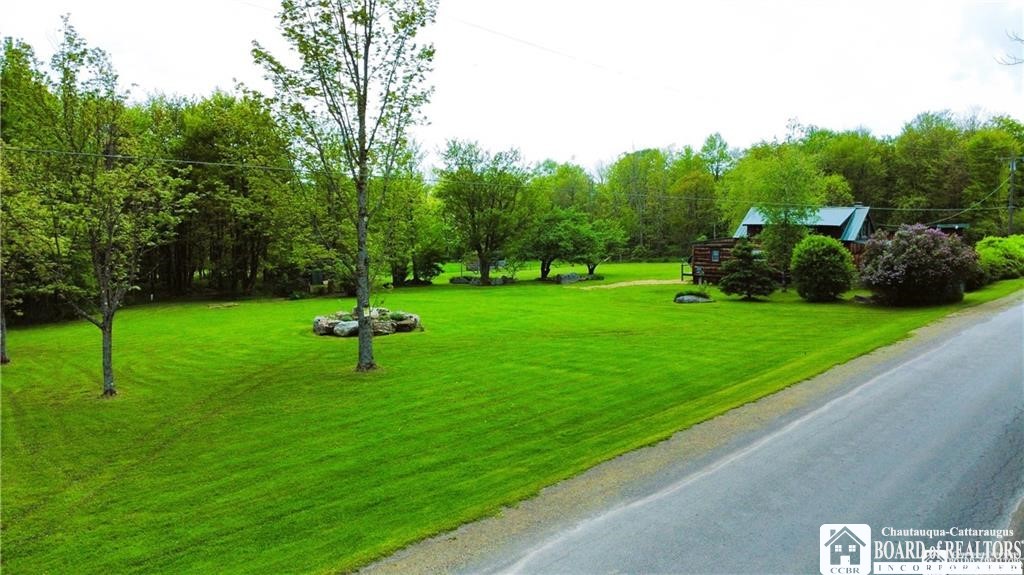 882 Alma Hill Road Alma, NY 14708 - Photo 19 of 37