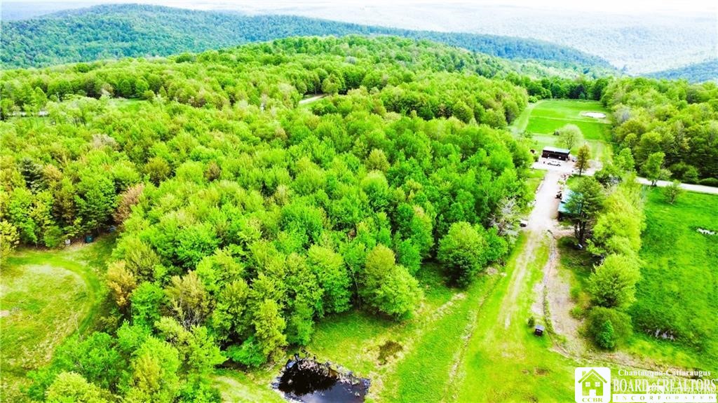 882 Alma Hill Road Alma, NY 14708 - Photo 20 of 37