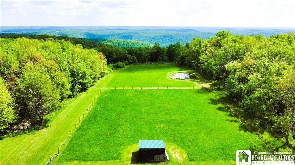 882 Alma Hill Road Alma, NY 14708 - Photo 10 of 37