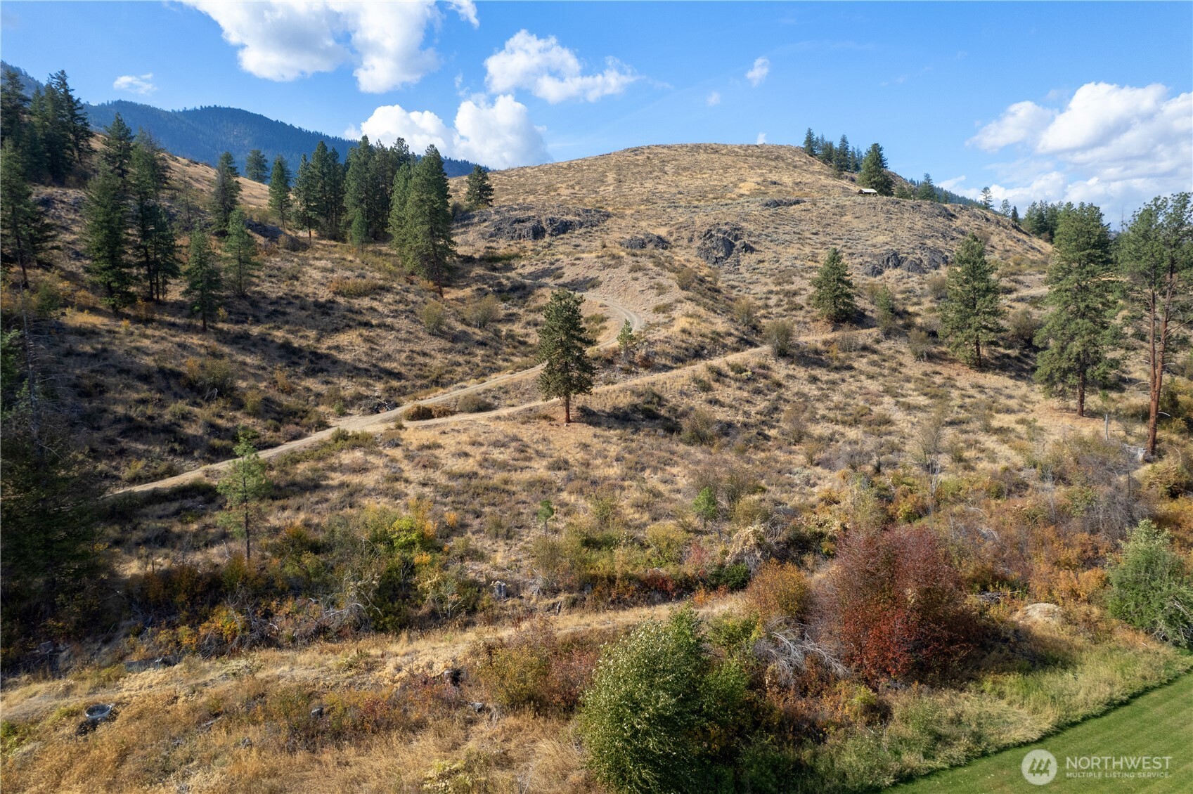 803 C Twisp Carlton Road Twisp, WA 98856 - Photo 10 of 14