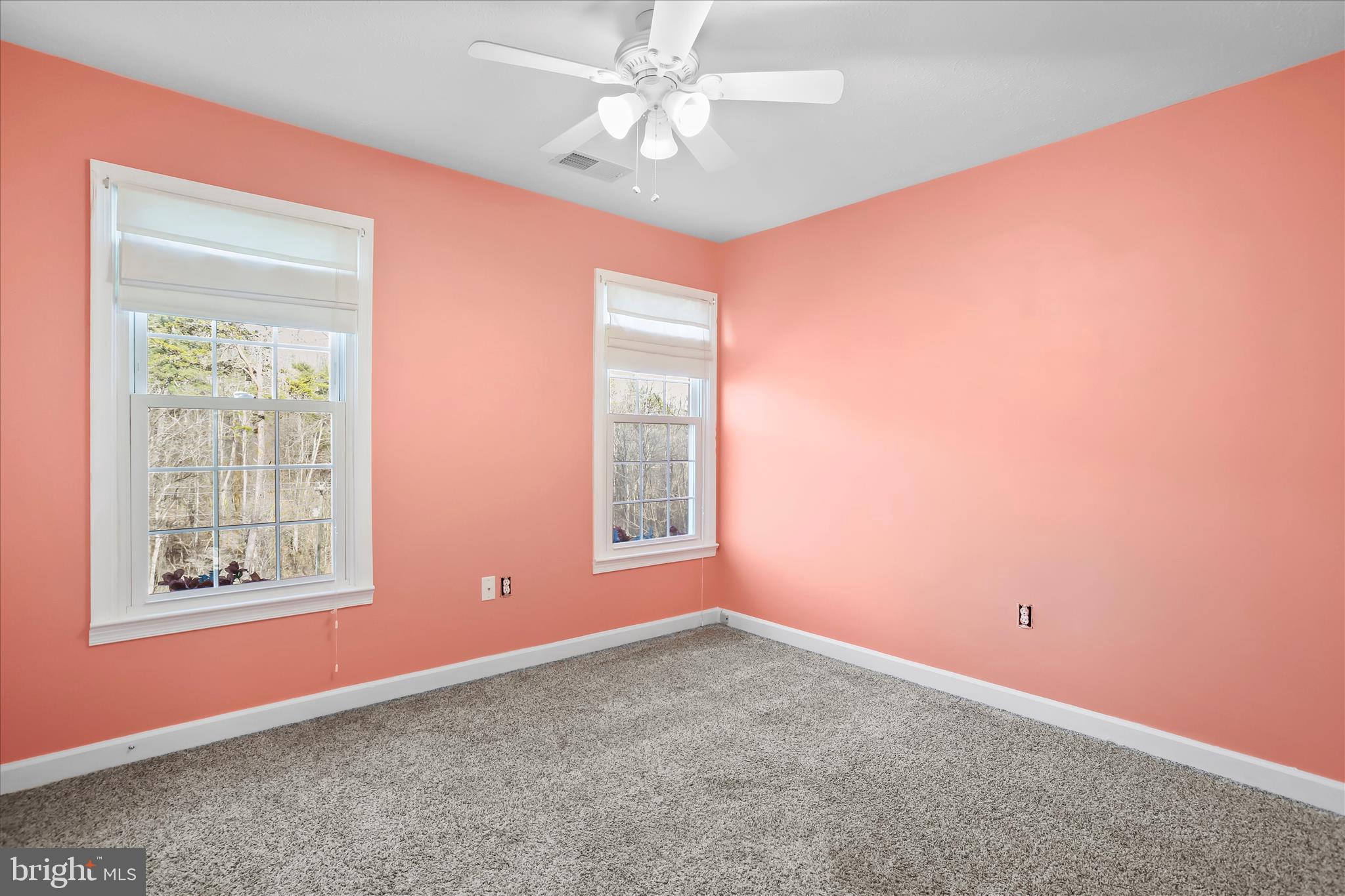 2986 Ridge Hollow Road Edinburg, VA 22824 - Photo 23 of 49
