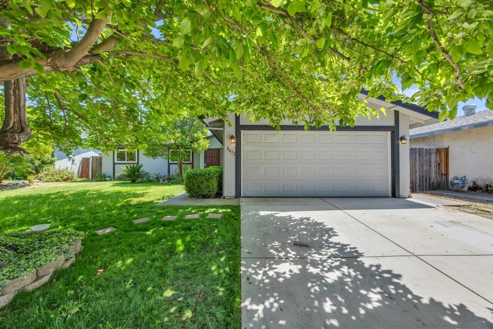 a backyard of a house with plants and tree