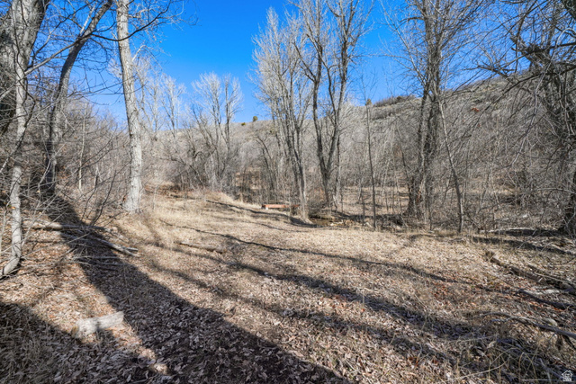 82 Meadow Drive Springville, UT 84663 - Photo 53 of 61