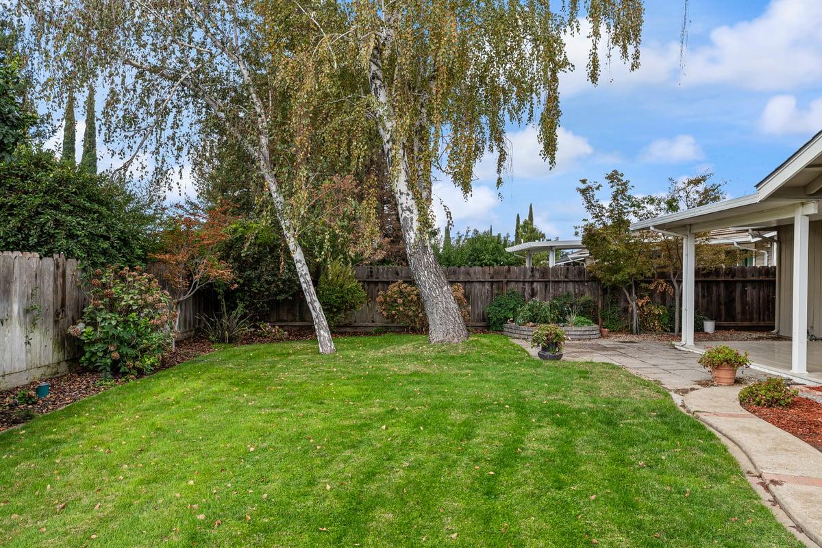244 California Street Ripon, CA 95366 - Photo 34 of 34 a view of a backyard with table and chairs potted plants and large tree