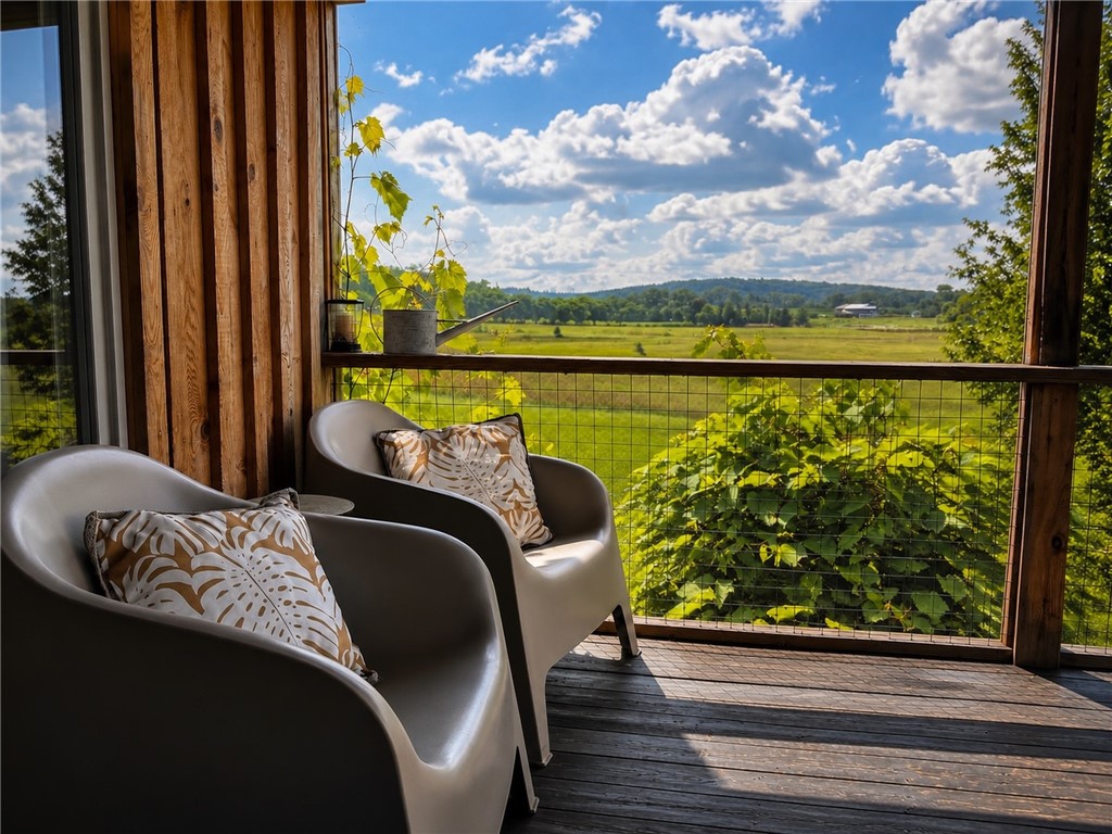 3700 Wine Mt Road Hector, NY 14818 - Photo 19 of 50 Screened lanai with country views