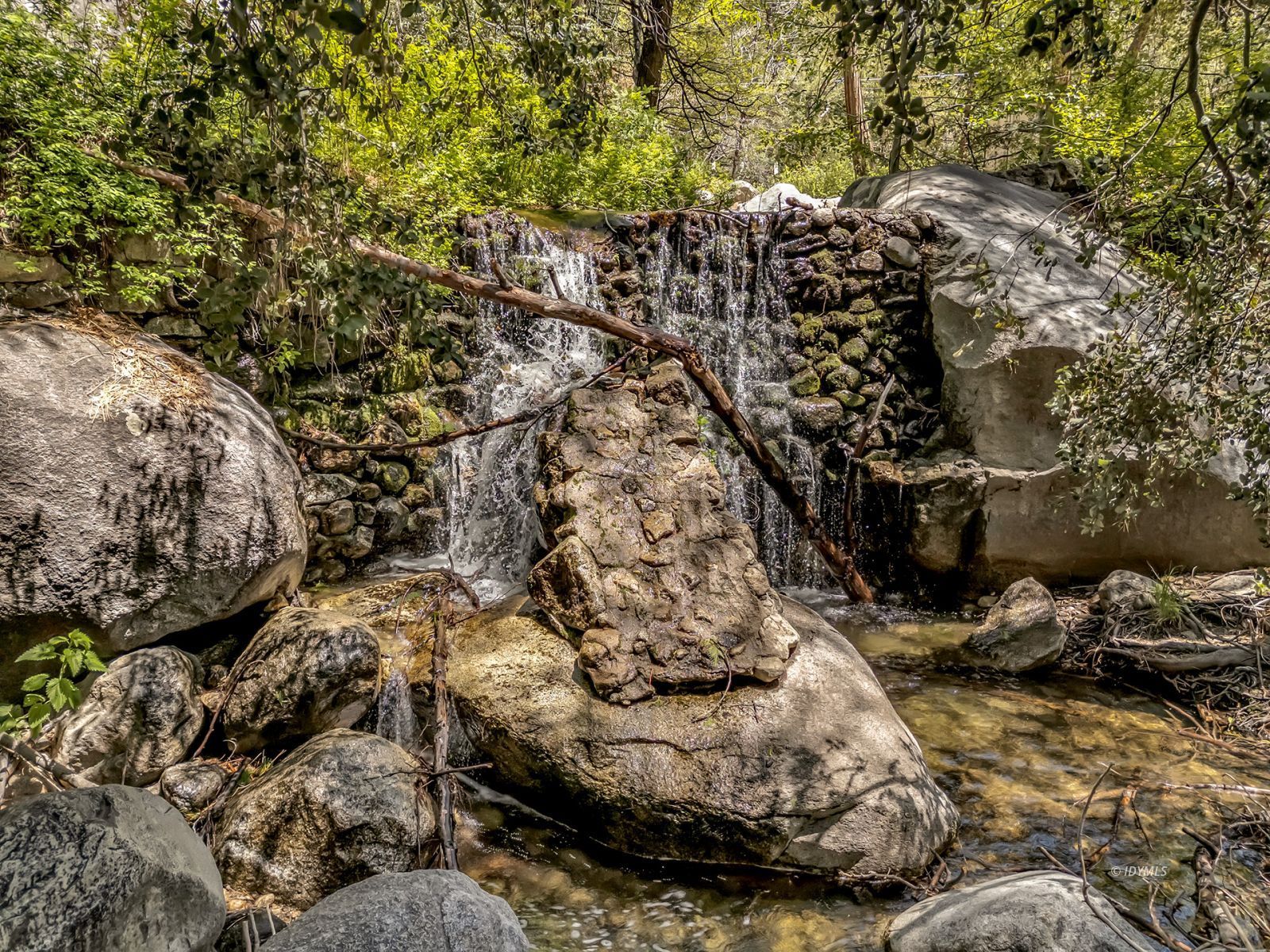 25100 Indian Rock Road Idyllwild, CA 92549 - Photo 5 of 75 a view of a tree with a yard