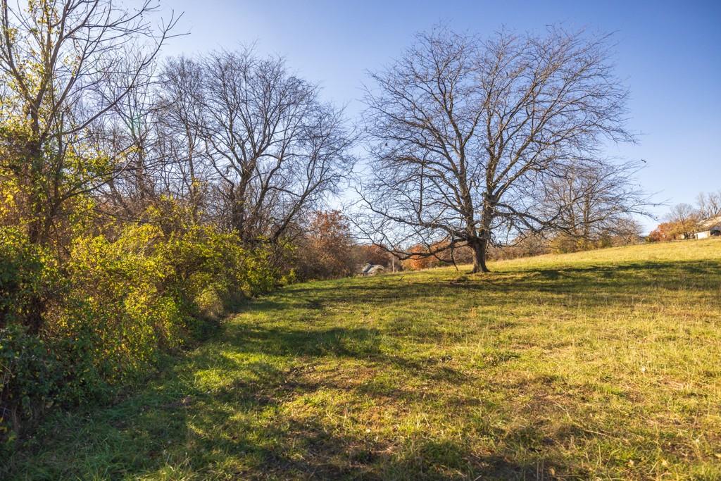2 West Ryan Road Grain Valley, MO 64029 - Photo 17 of 22