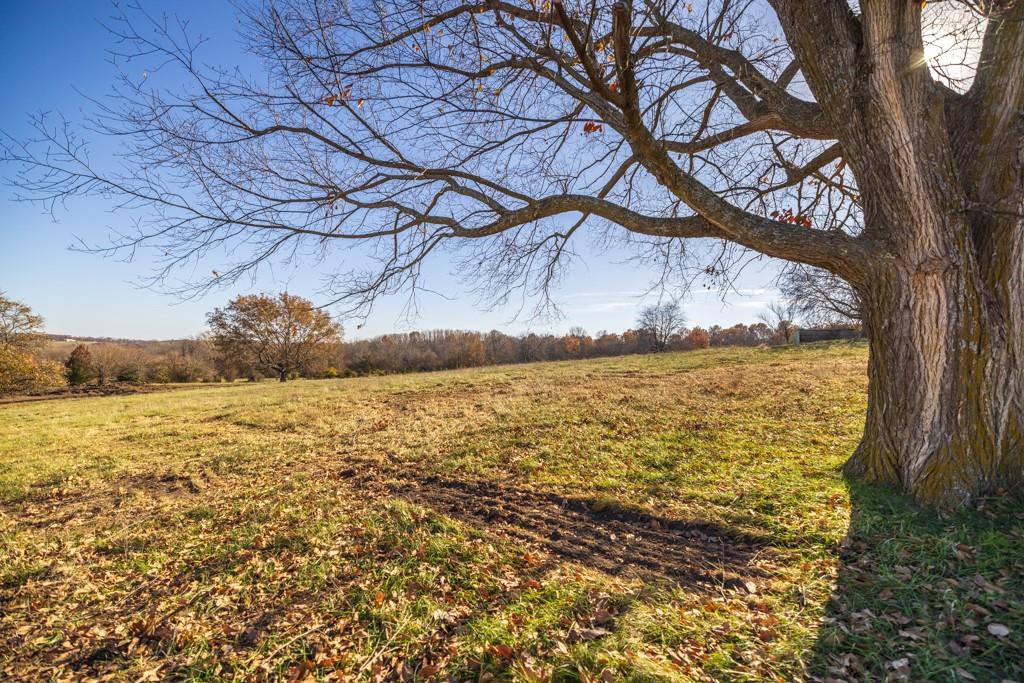 2 West Ryan Road Grain Valley, MO 64029 - Photo 10 of 22