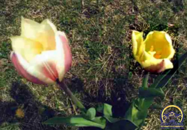 $212,000 | 1427 Southwest Jewell Avenue, Topeka, KS 66604