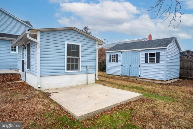 a view of a backyard with a large tree