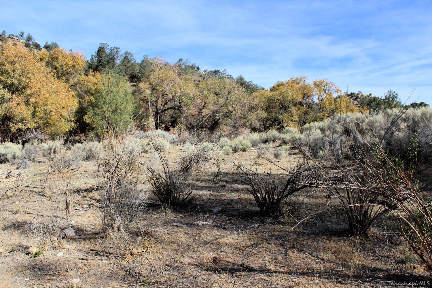 0 Caliente Creek Road Caliente, CA 93518 - Photo 16 of 17 Gallery Image 16