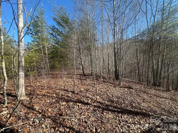 $37,000 | 127 Robinwood Trail, Bostic, NC 28018