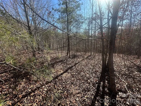 $37,000 | 127 Robinwood Trail, Bostic, NC 28018