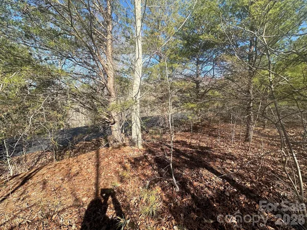 $37,000 | 127 Robinwood Trail, Bostic, NC 28018