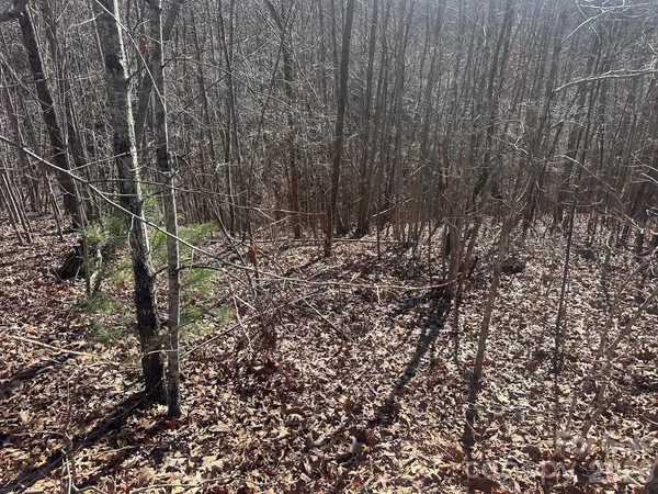 $37,000 | 127 Robinwood Trail, Bostic, NC 28018