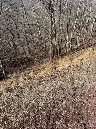 $37,000 | 127 Robinwood Trail, Bostic, NC 28018