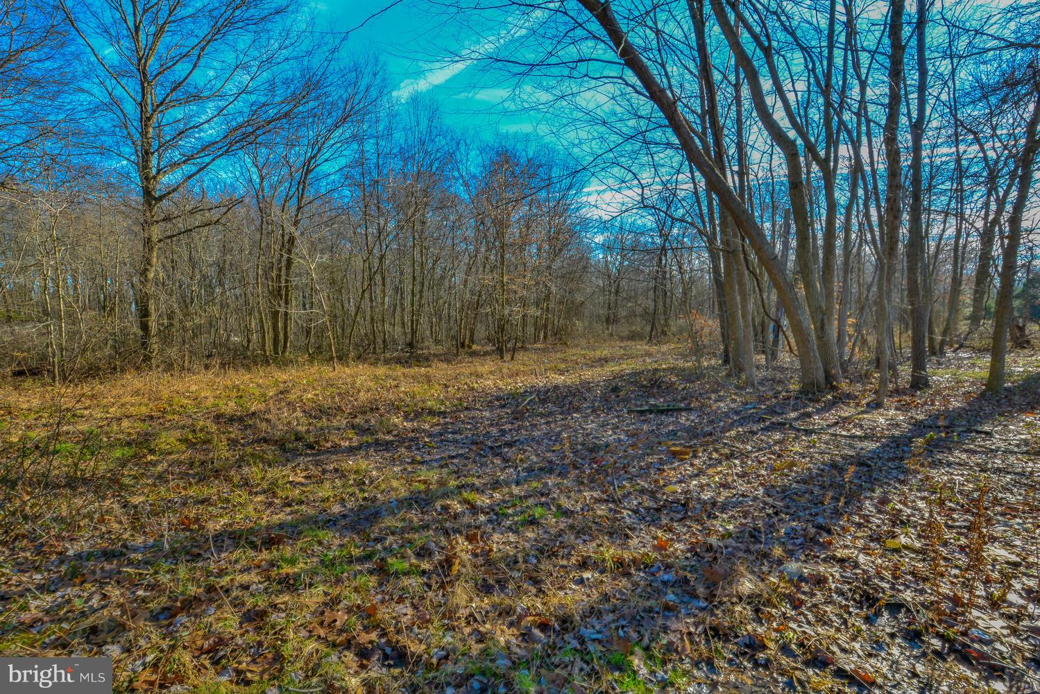 4109 Conowingo Road Darlington, MD 21034 - Photo 94 of 102 Gallery Image 94