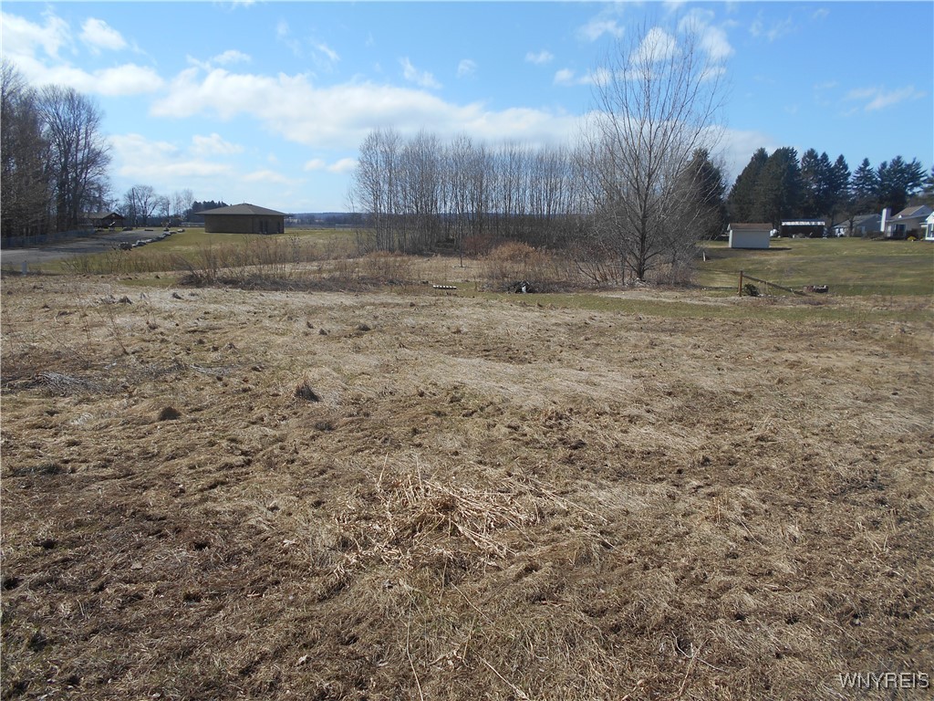 13419 Allen Road Sardinia, NY 14030 - Photo 11 of 32