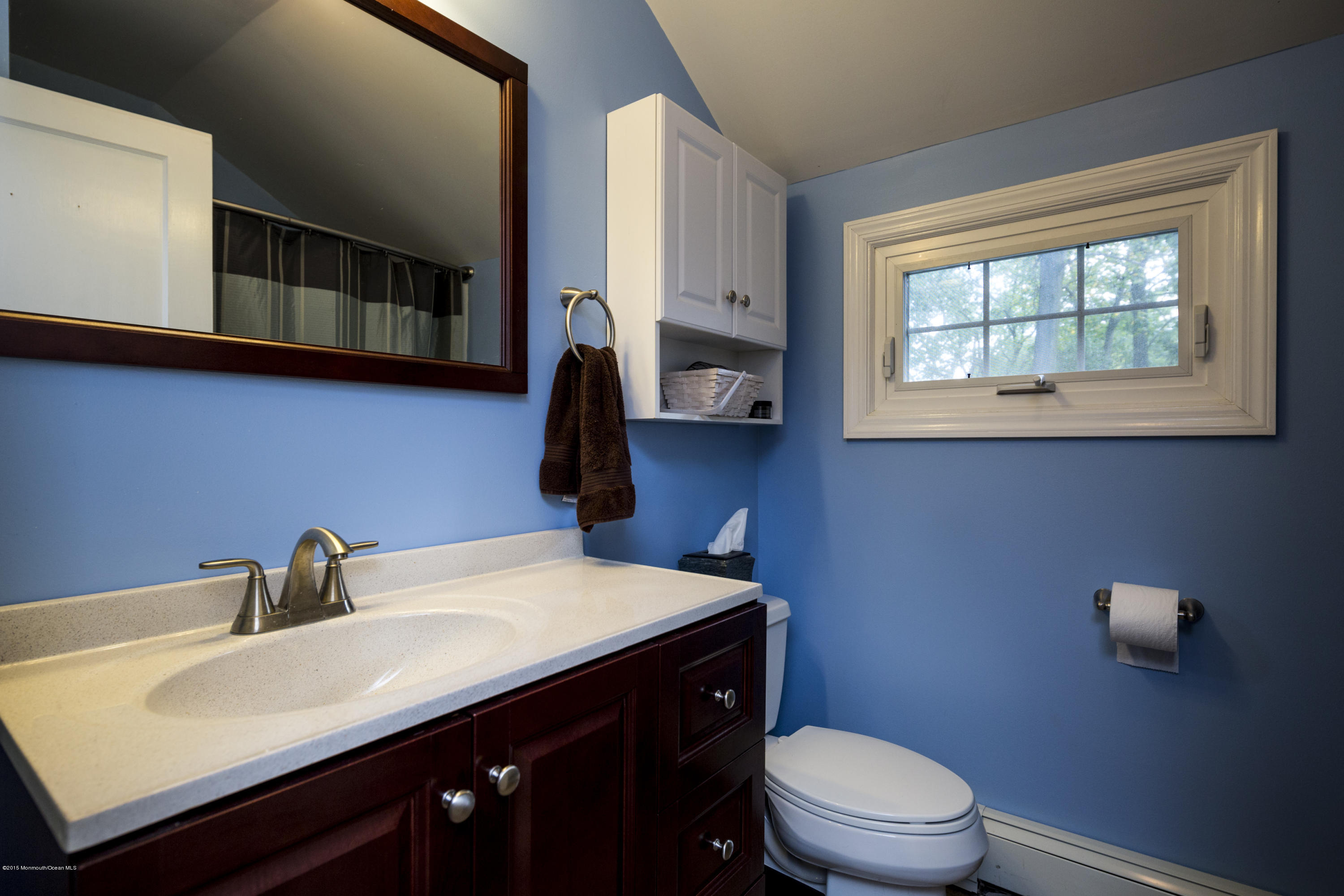 167 Newman Springs Road Tinton Falls, NJ 07724 - Photo 19 of 23 a bathroom with a sink a toilet and a window