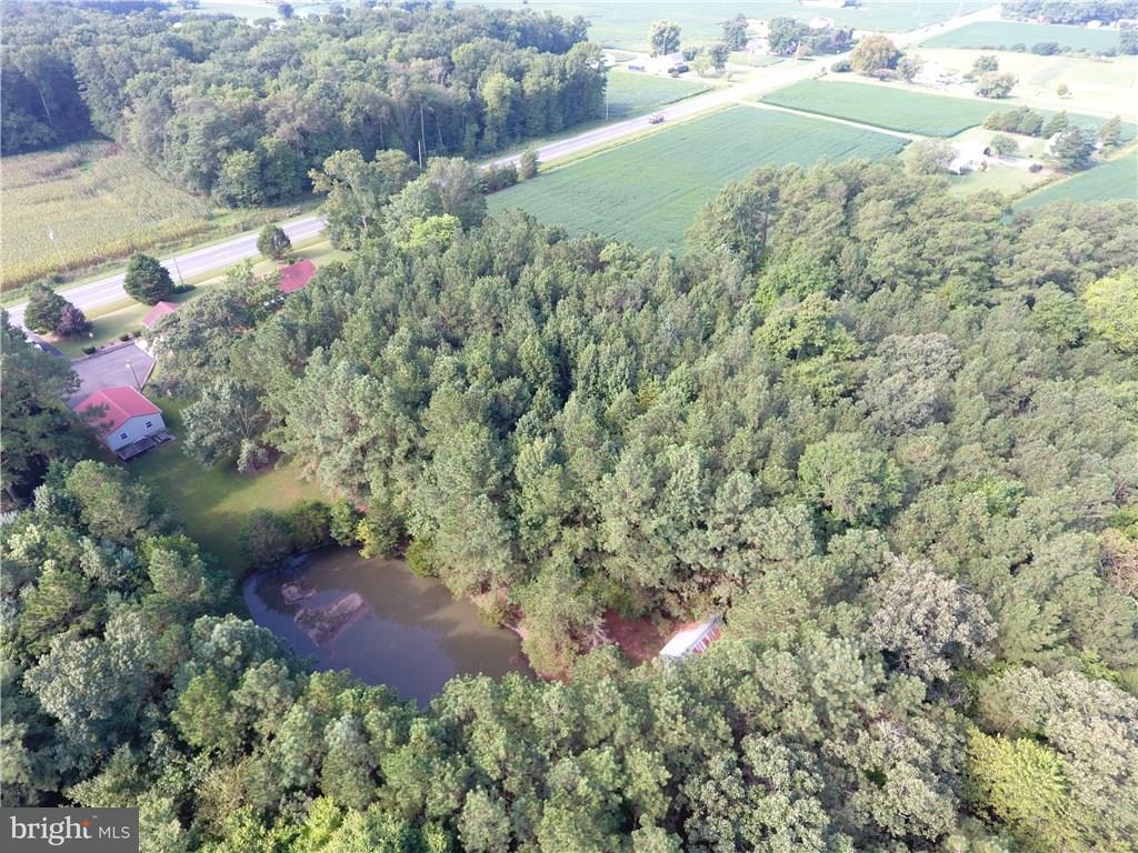 15201 Line Road Delmar, DE 19940 - Photo 3 of 28