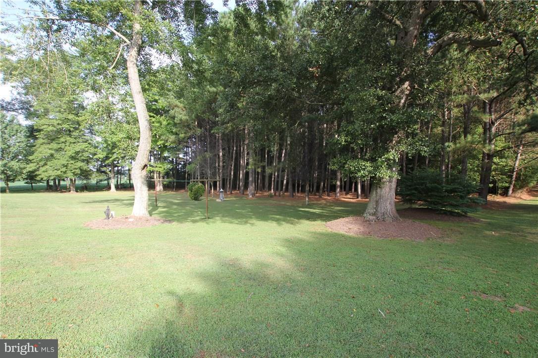 15201 Line Road Delmar, DE 19940 - Photo 25 of 28