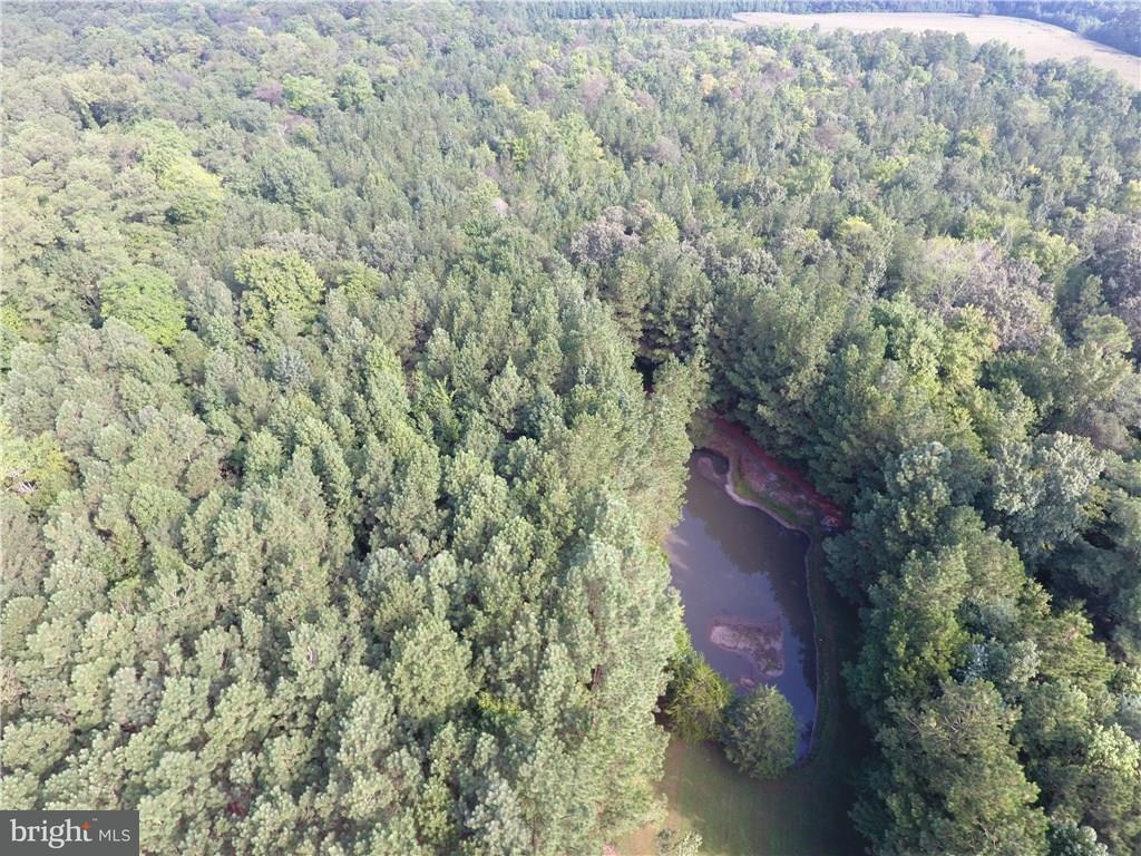 15201 Line Road Delmar, DE 19940 - Photo 28 of 28