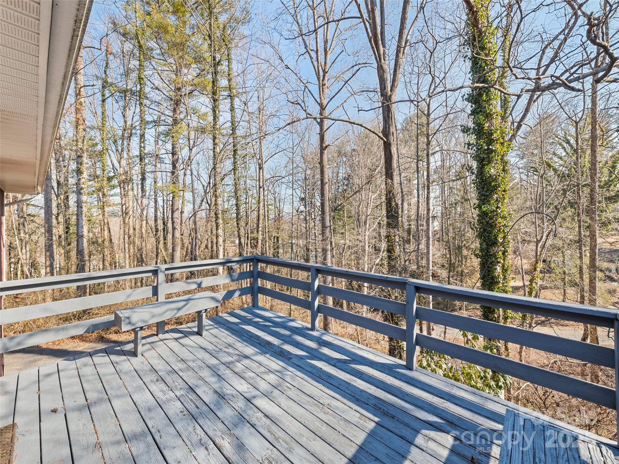1210 Pinebrook Circle Hendersonville, NC 28739 - Photo 3 of 18