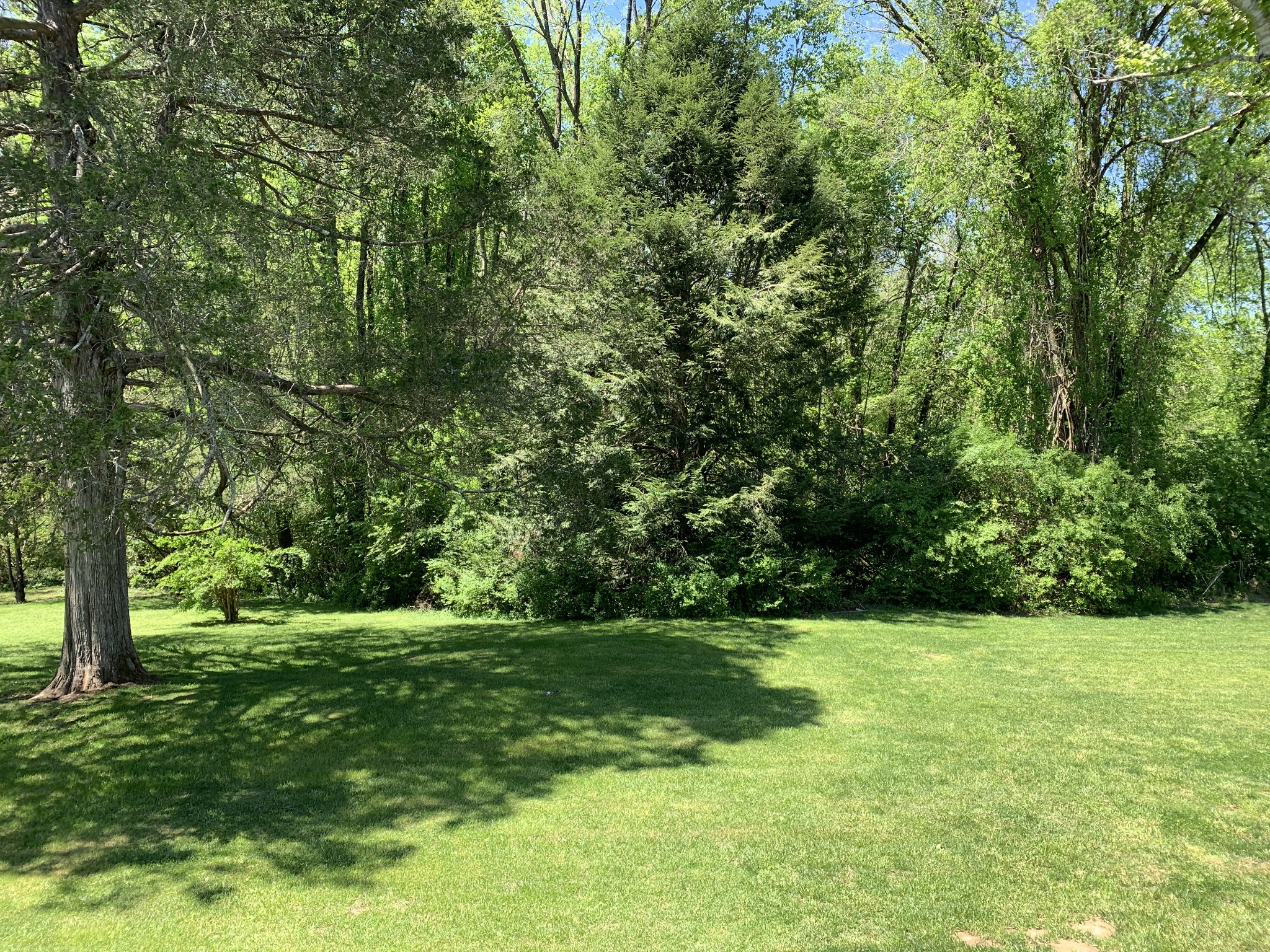518 Fisk Road Cookeville, TN 38501 - Photo 11 of 20
