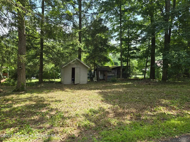 a tree is standing in the yard with large trees