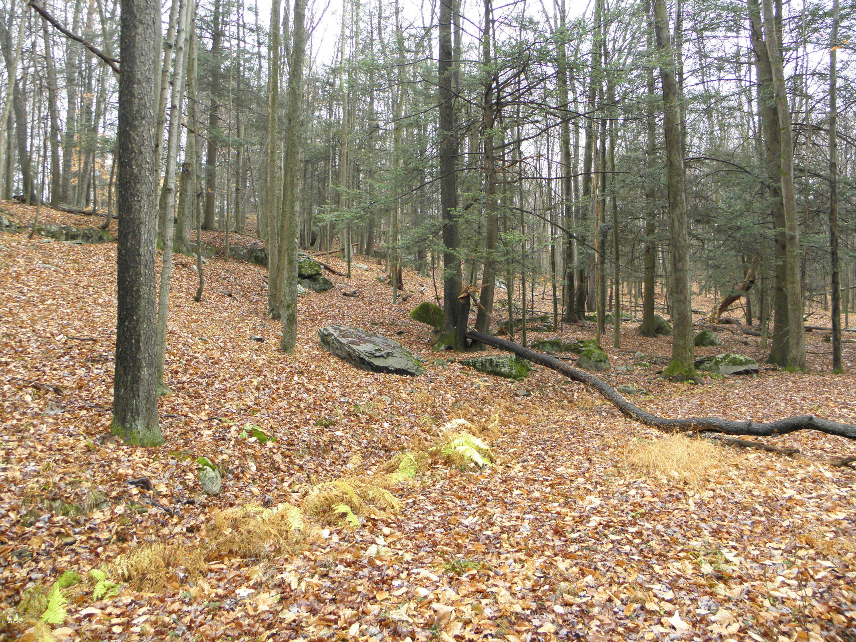Phillips Road Gouldsboro, PA 18424 - Photo 5 of 6