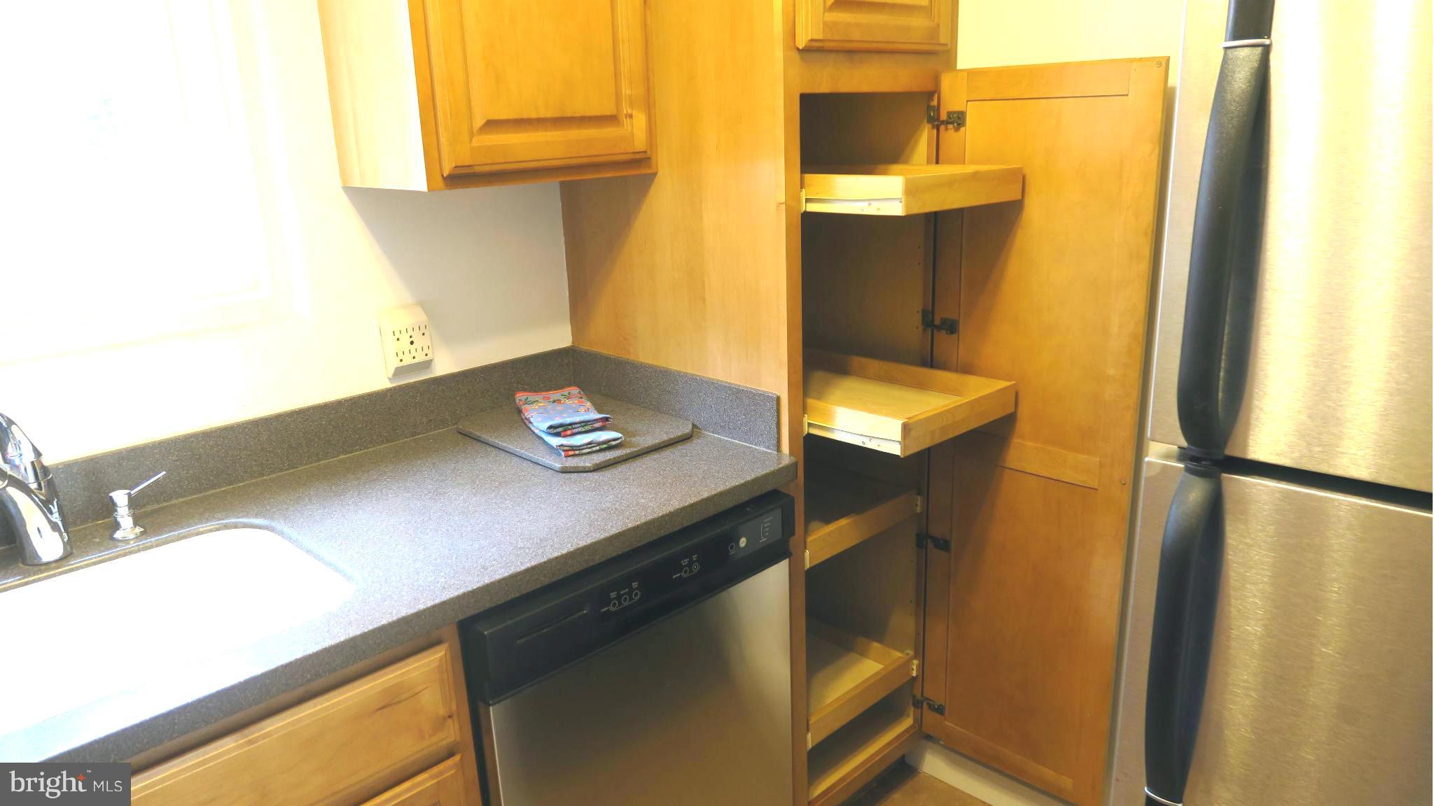 1601 Preston Road, Unit 1601 Alexandria, VA 22302 - Photo 4 of 20 Pull out drawers in pantry cupboard