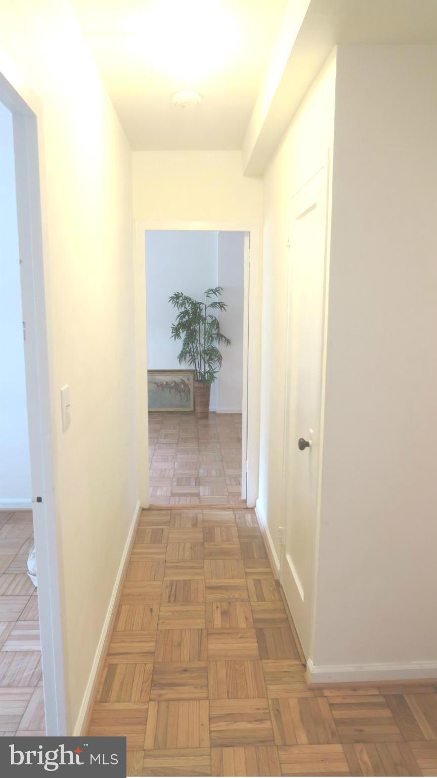 1601 Preston Road, Unit 1601 Alexandria, VA 22302 - Photo 9 of 20 Hallway to bedrooms