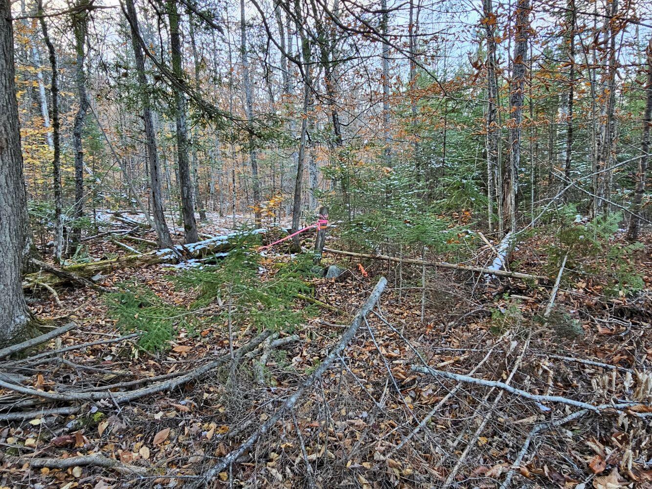 Mr6-l1-b-1 Longley Road Solon, ME 04979 - Photo 8 of 8 10