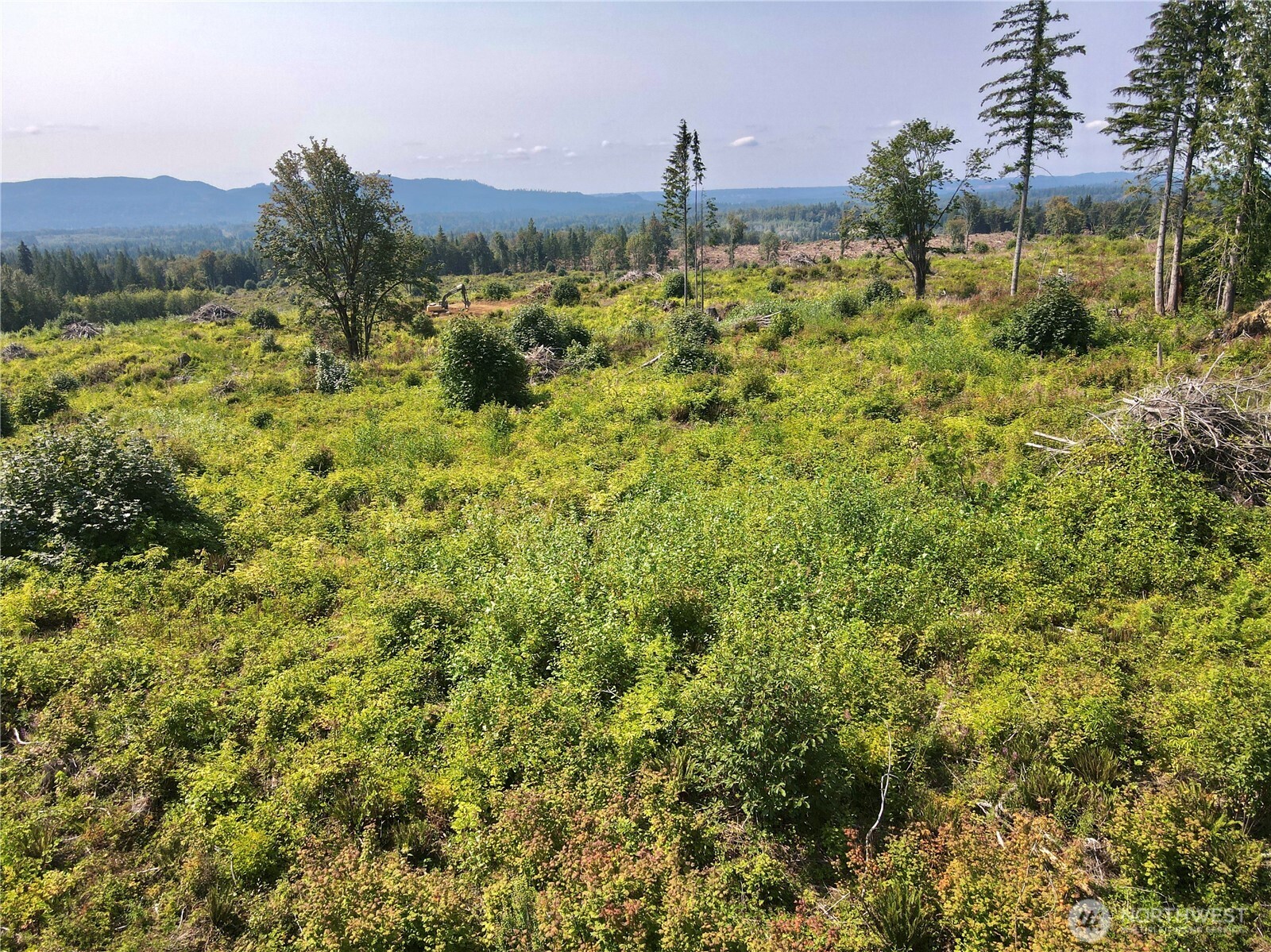 27423 Old Pipeline Road Monroe, WA 98272 - Photo 17 of 40 Gallery Image 17