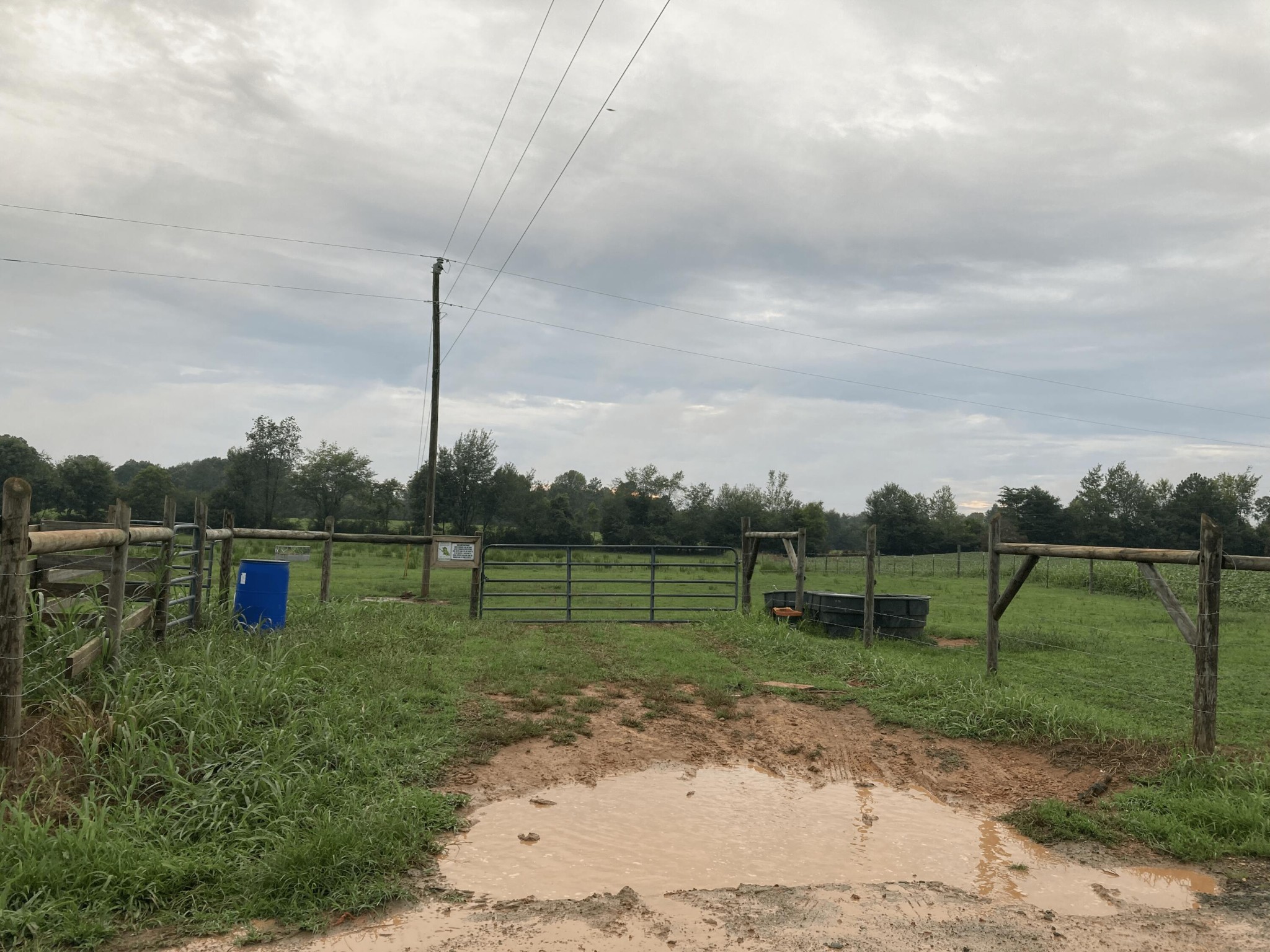 0 Swan Road Old Fort, TN 37362 - Photo 12 of 20