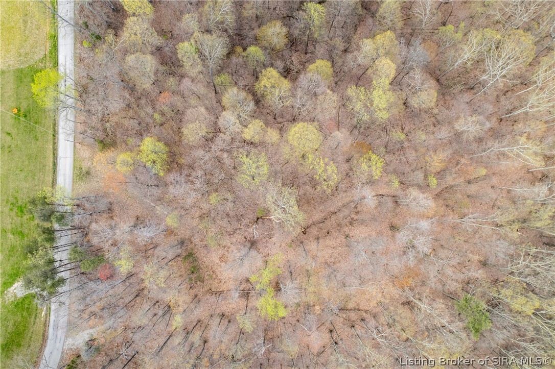 26406 Bartle Knob Road Memphis, TN 47106 - Photo 12 of 26