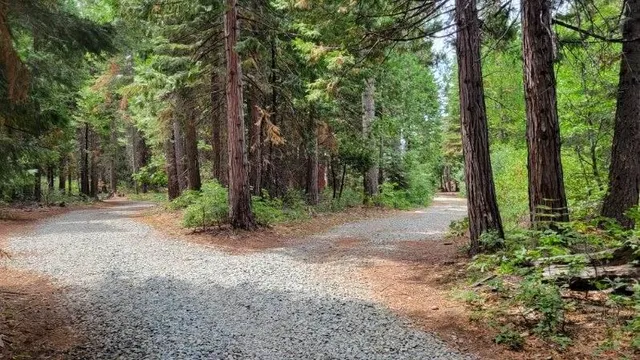 a backyard of a house with lots of green space