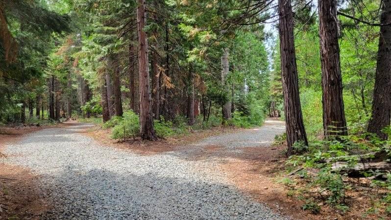 27035 North Bloomfield Road Nevada City, CA 95959 - Photo 3 of 8 a backyard of a house with lots of green space